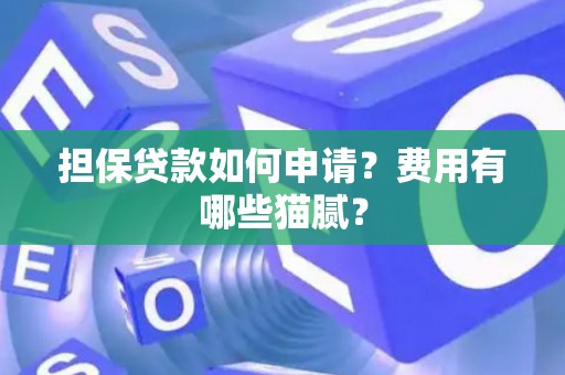 担保贷款如何申请?费用有哪些猫腻? 担保贷款如何申请?费用有哪些猫腻?